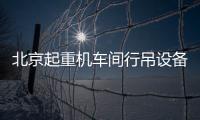 北京起重机车间行吊设备10T抓斗天车10t行车一台